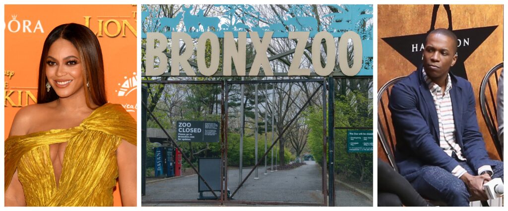 From Beyoncé to the Bronx Zoo, There's So Much to Watch and Do This Weekend [Corrected]