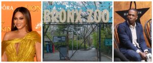 From Beyoncé to the Bronx Zoo, There's So Much to Watch and Do This Weekend [Corrected]