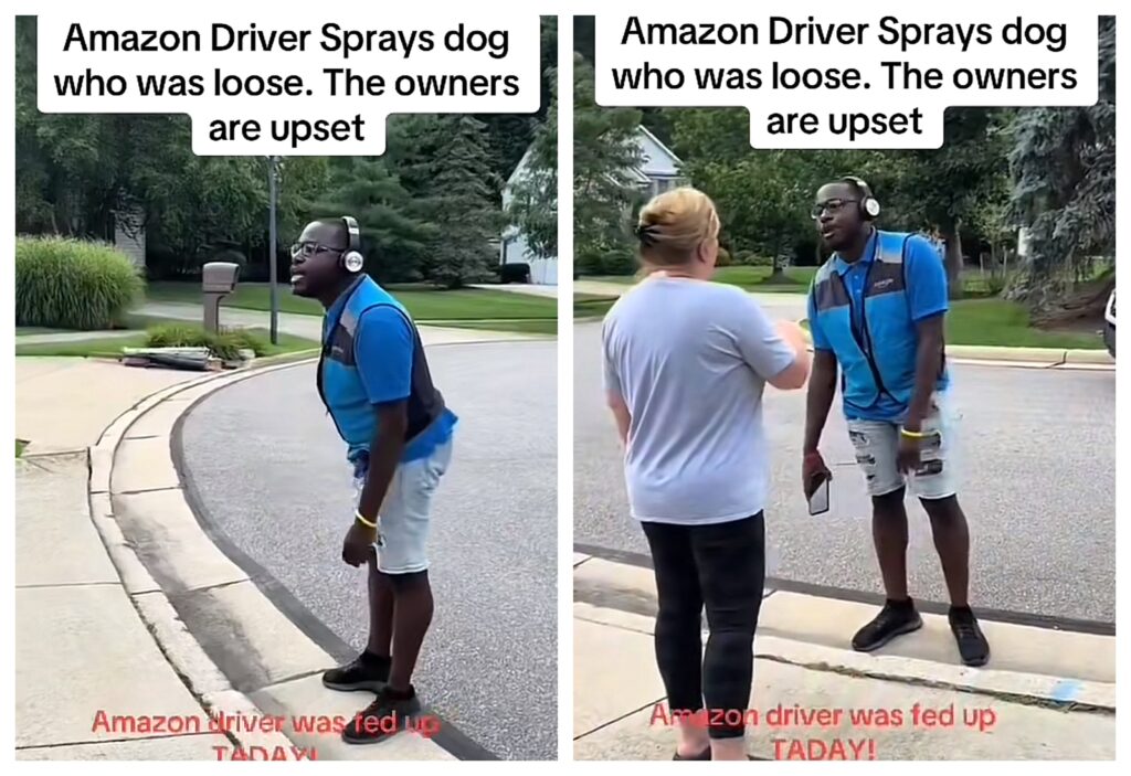 Viral TikTok Video Shows Things Going Completely Left With a White Lady, a Dog and a Black Amazon Delivery Driver